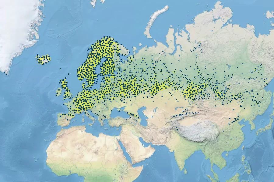 Rubus saxatilis Native Range