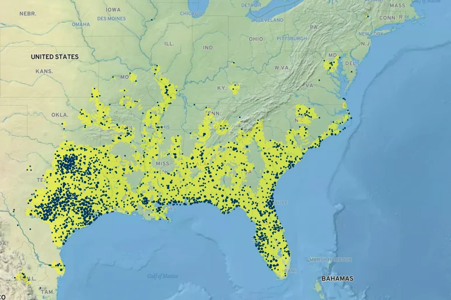 Rubus trivialis Native Range