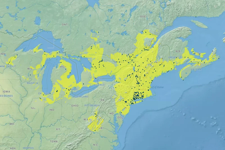 Rubus ×setosus Native Range