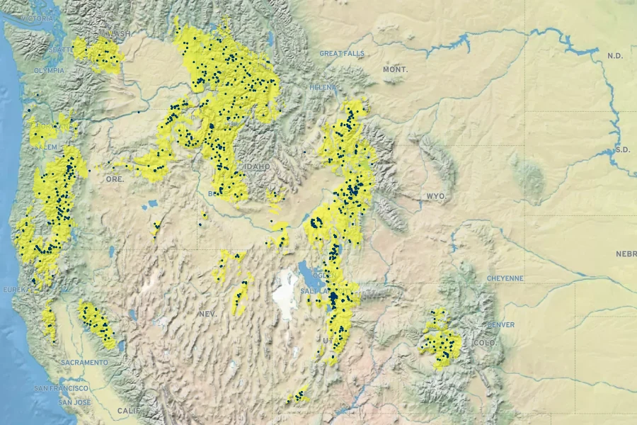 Rudbeckia occidentalis Native Range