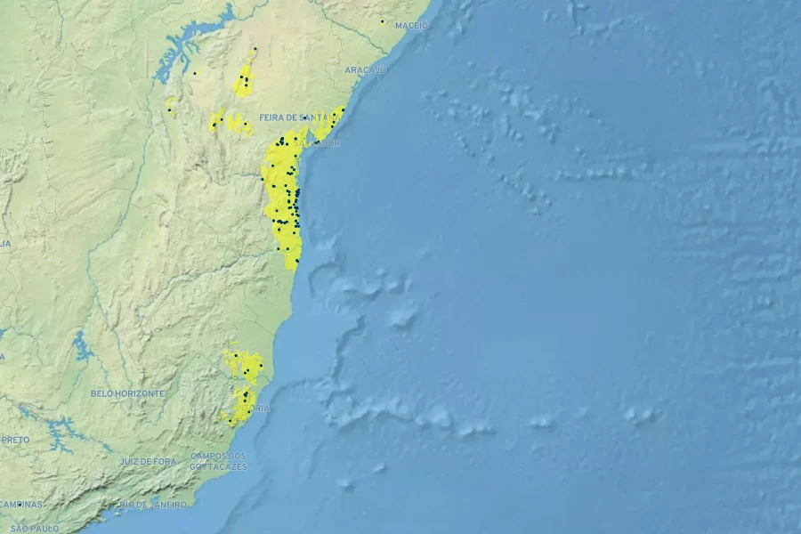 Ruellia affinis Native Range