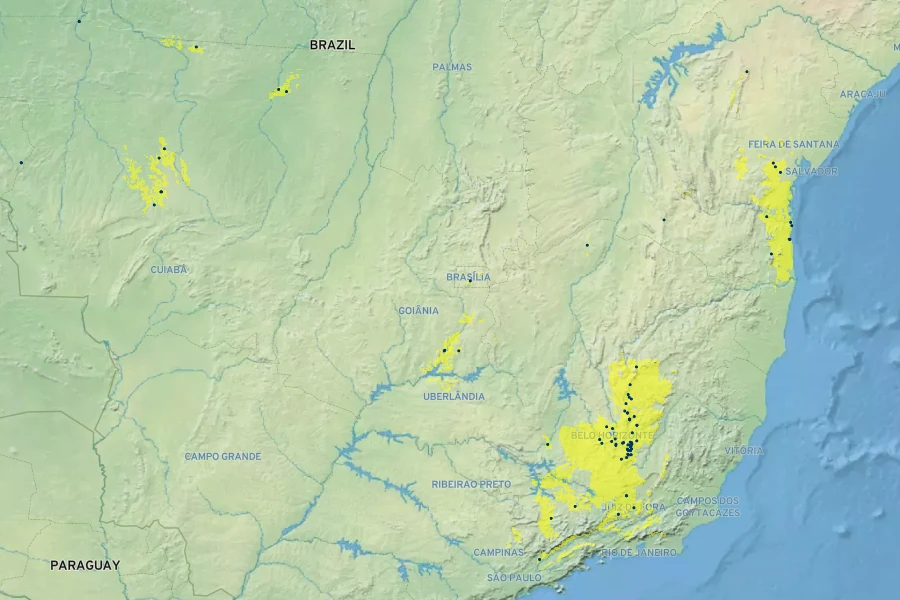 Ruellia macrantha Native Range