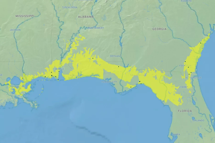 Ruellia noctiflora Native Range