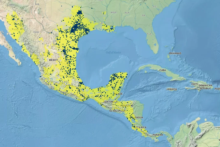 Ruellia nudiflora Native Range