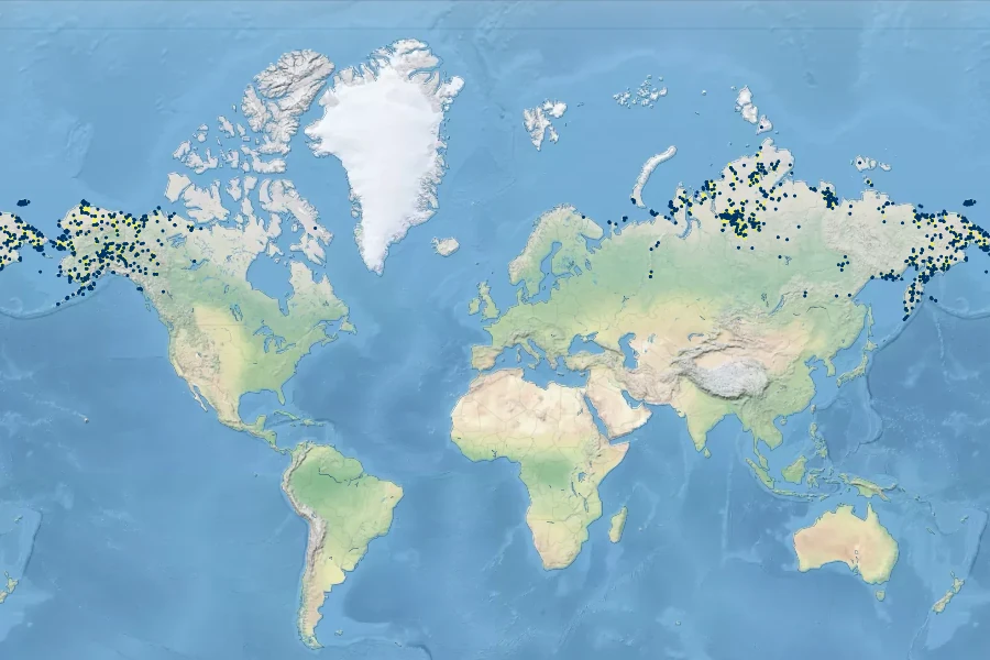 Rumex arcticus Native Range