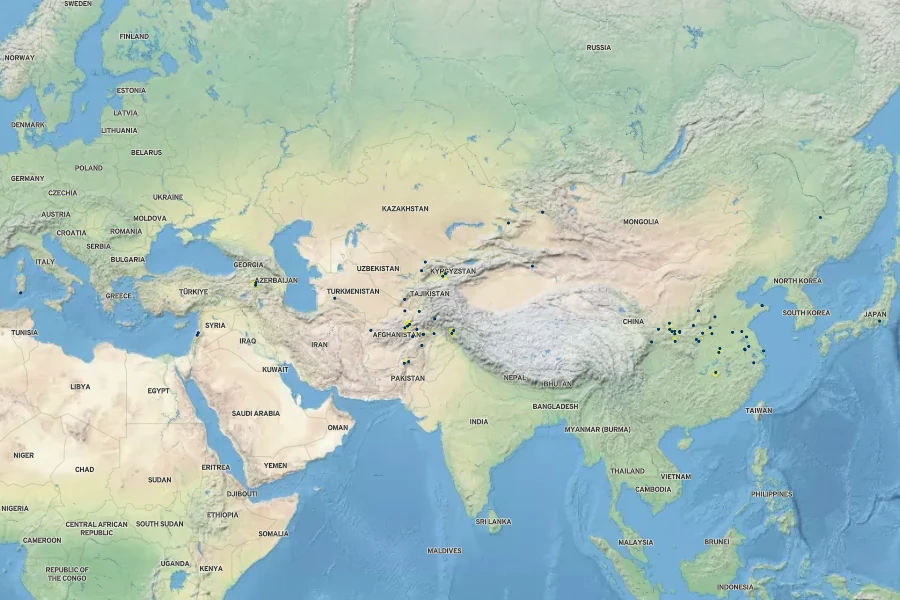 Rumex chalepensis Native Range