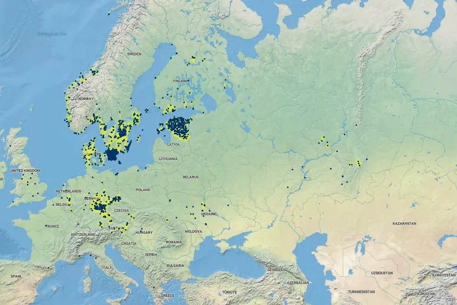 Rumex obtusifolius subsp. sylvestris Native Range