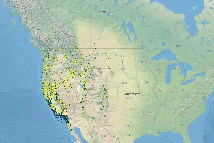 Rumex salicifolius Native Range