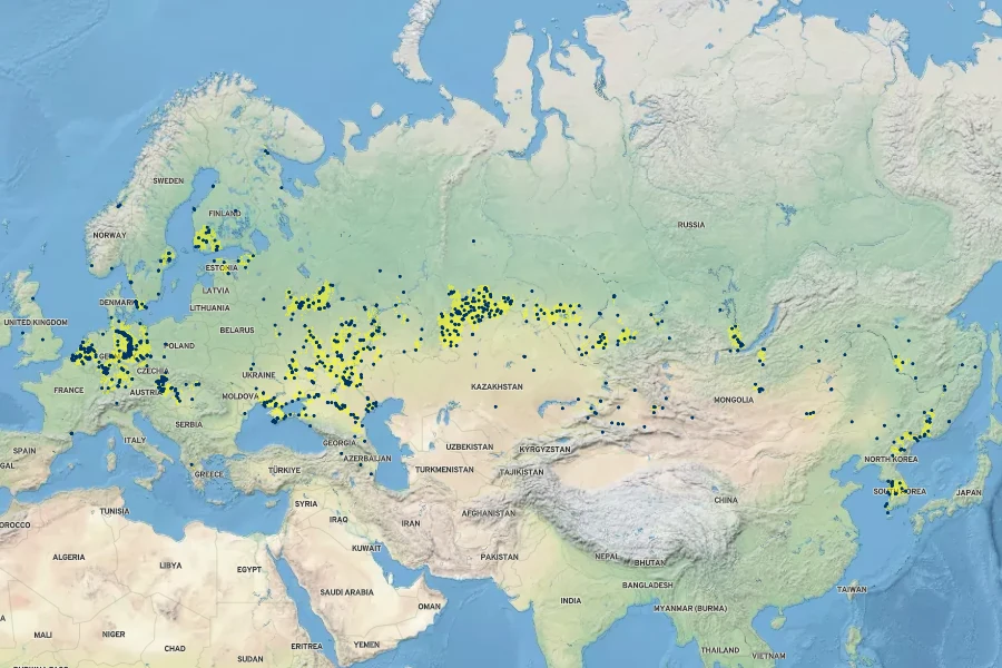Rumex stenophyllus Native Range