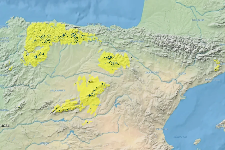 Rumex suffruticosus Native Range