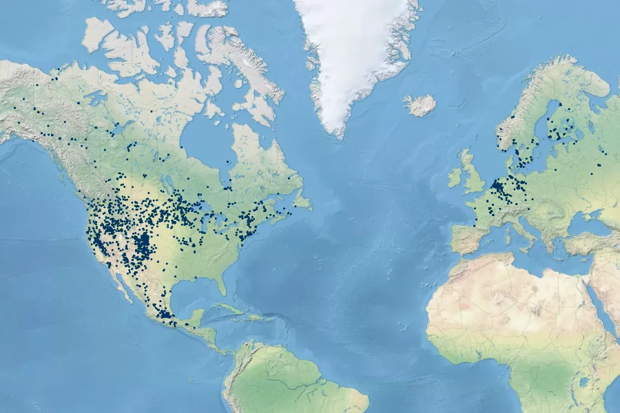 Rumex triangulivalvis Native Range
