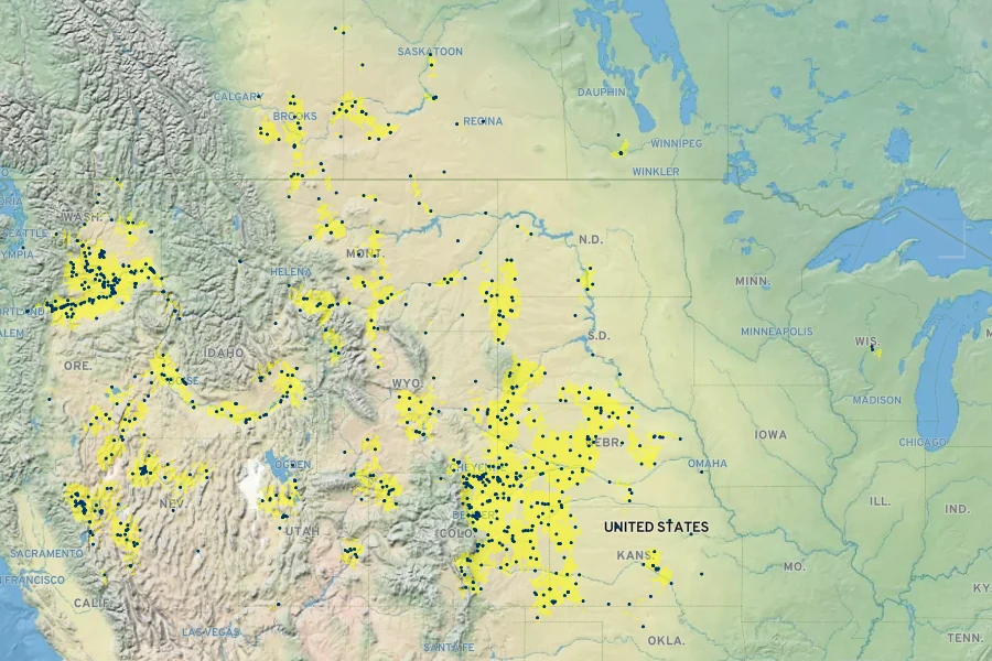 Rumex venosus Native Range