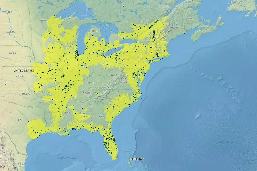 Rumex verticillatus Native Range