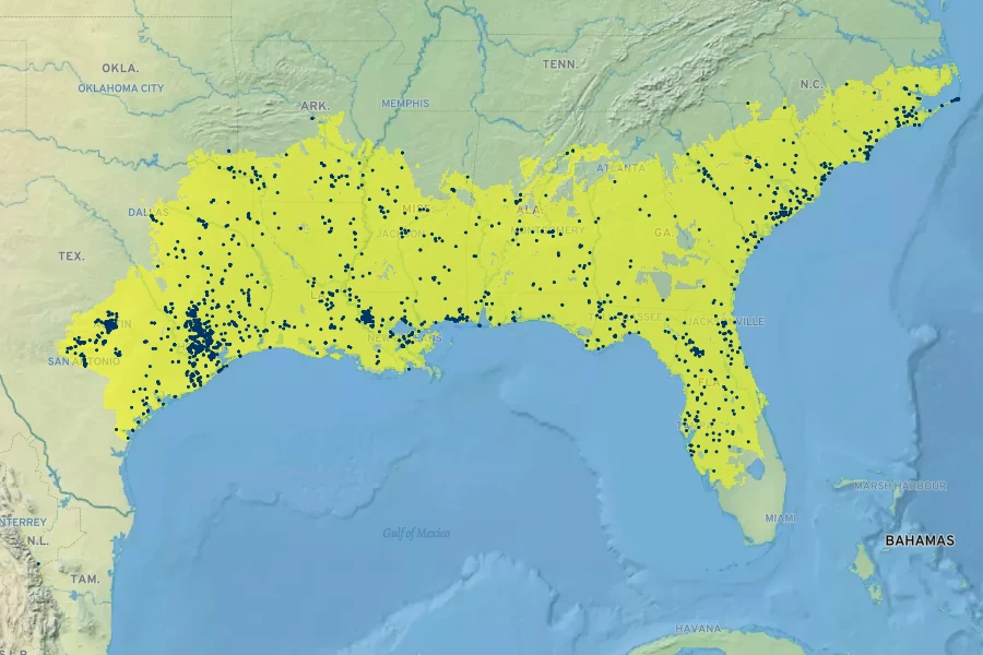 Sabal minor Native Range