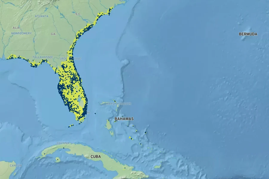 Sabal palmetto Native Range