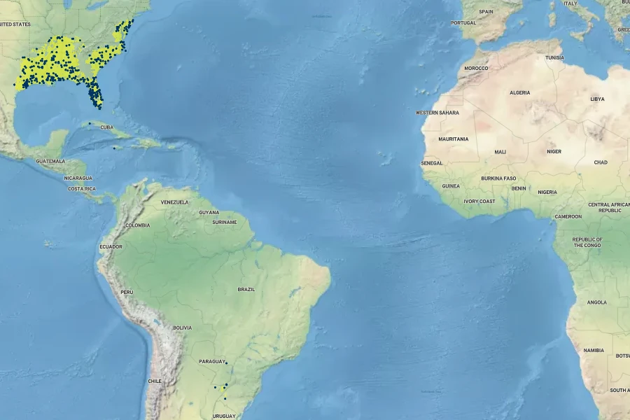 Saccharum giganteum Native Range