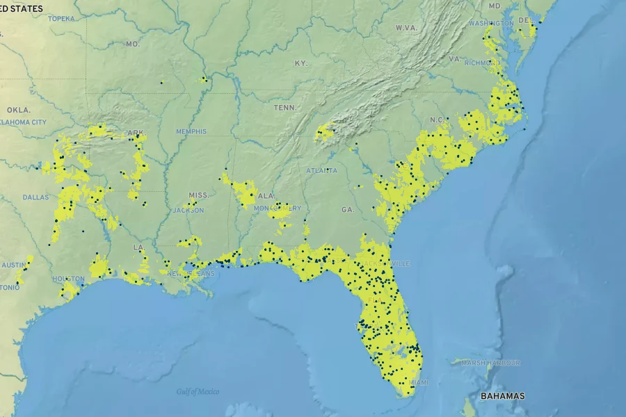 Sacciolepis striata Native Range