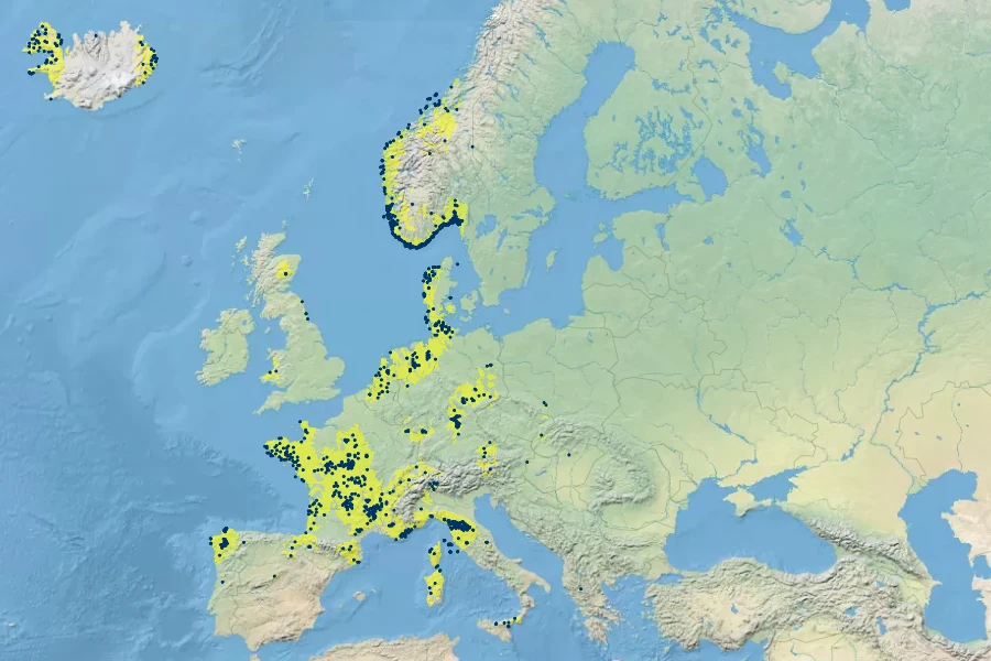 Sagina alexandrae Native Range