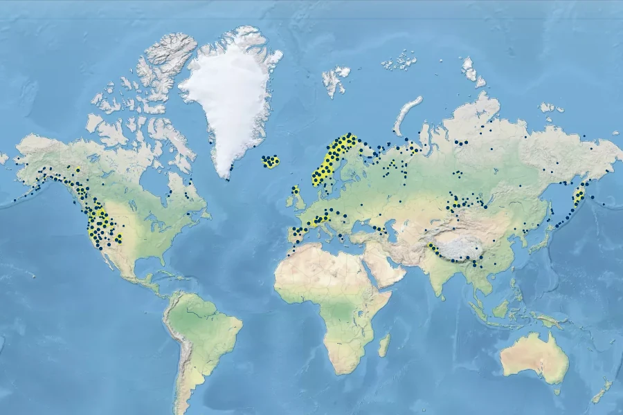 Sagina saginoides Native Range
