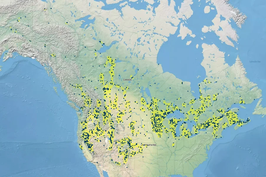 Sagittaria cuneata Native Range