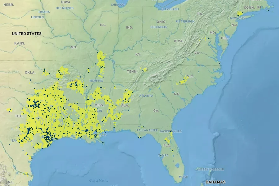 Sagittaria platyphylla Native Range