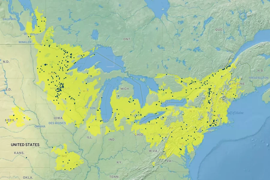 Sagittaria rigida Native Range