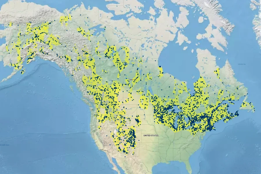 Salix bebbiana Native Range