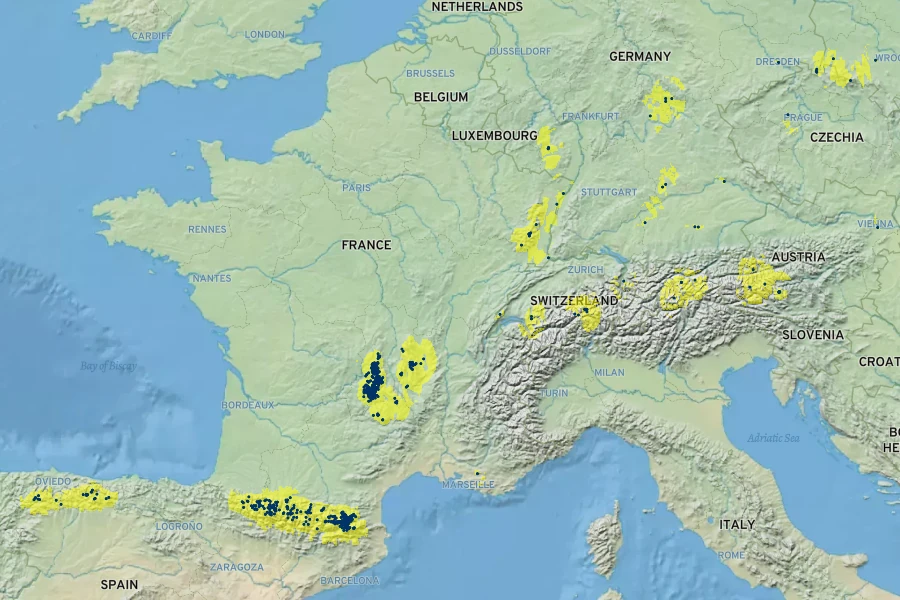 Salix bicolor Native Range