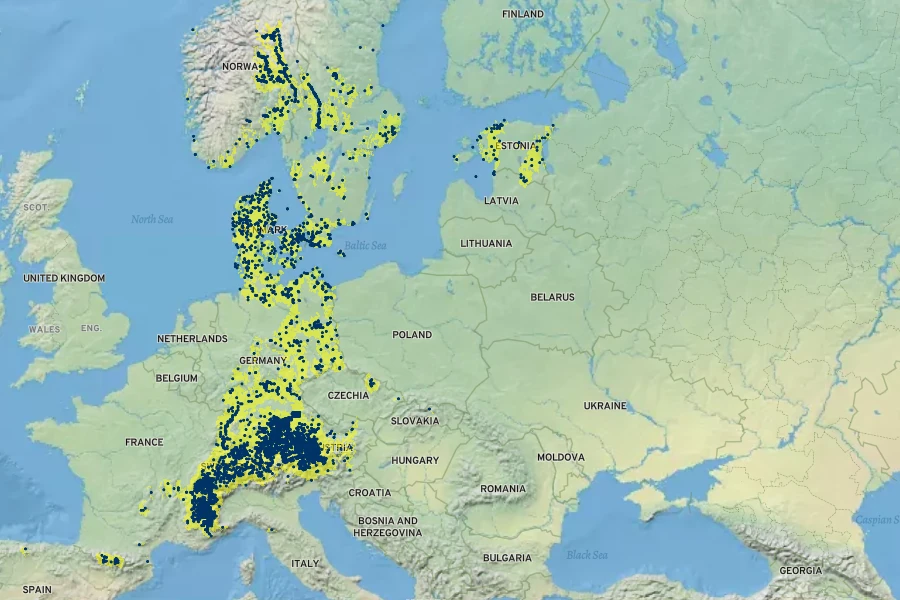 Salix daphnoides Native Range