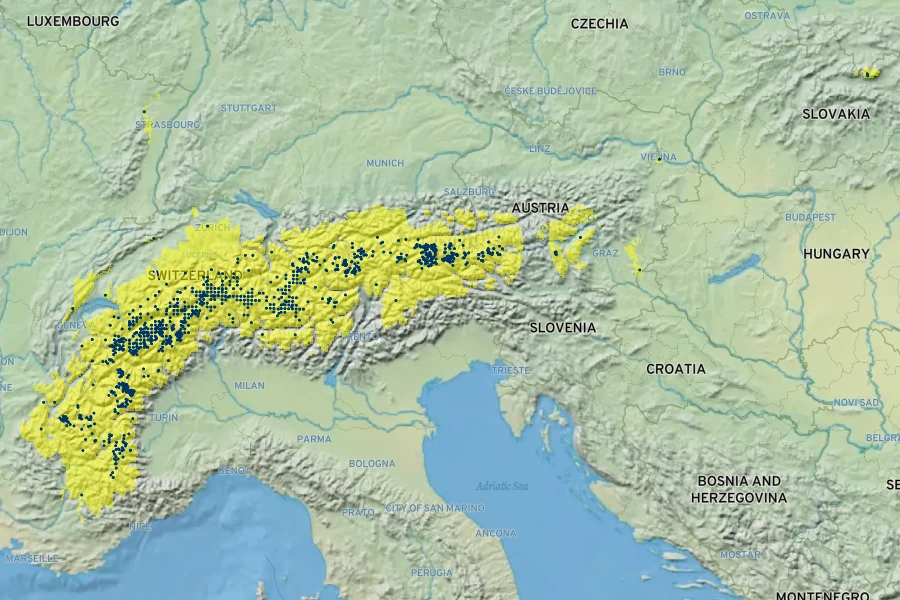 Salix helvetica Native Range