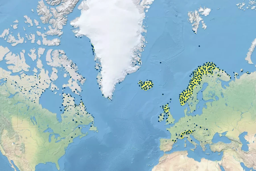 Salix herbacea Native Range
