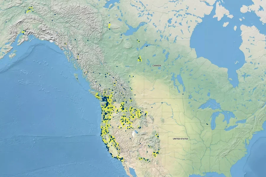 Salix lucida subsp. lasiandra Native Range