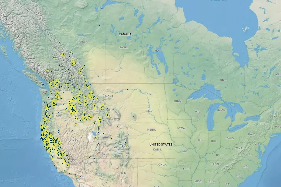 Salix melanopsis Native Range