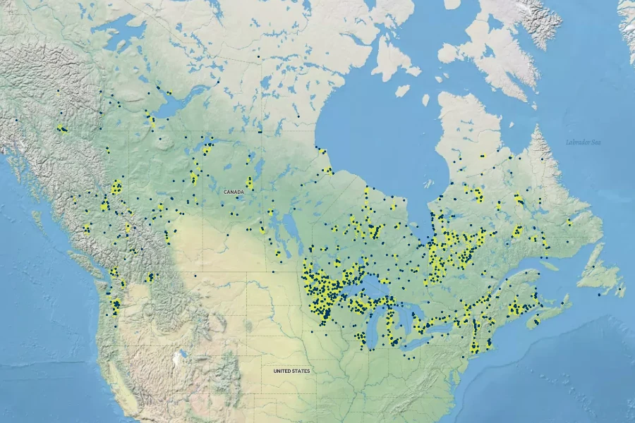 Salix pedicellaris Native Range