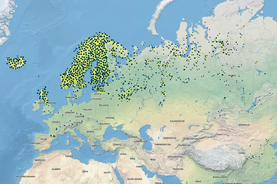 Salix phylicifolia Native Range