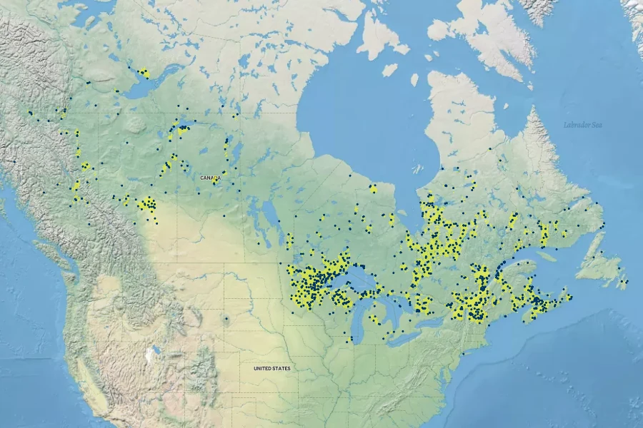 Salix pyrifolia Native Range