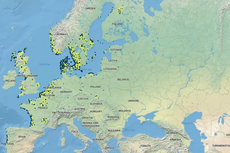 Salix repens subsp. argentea Native Range