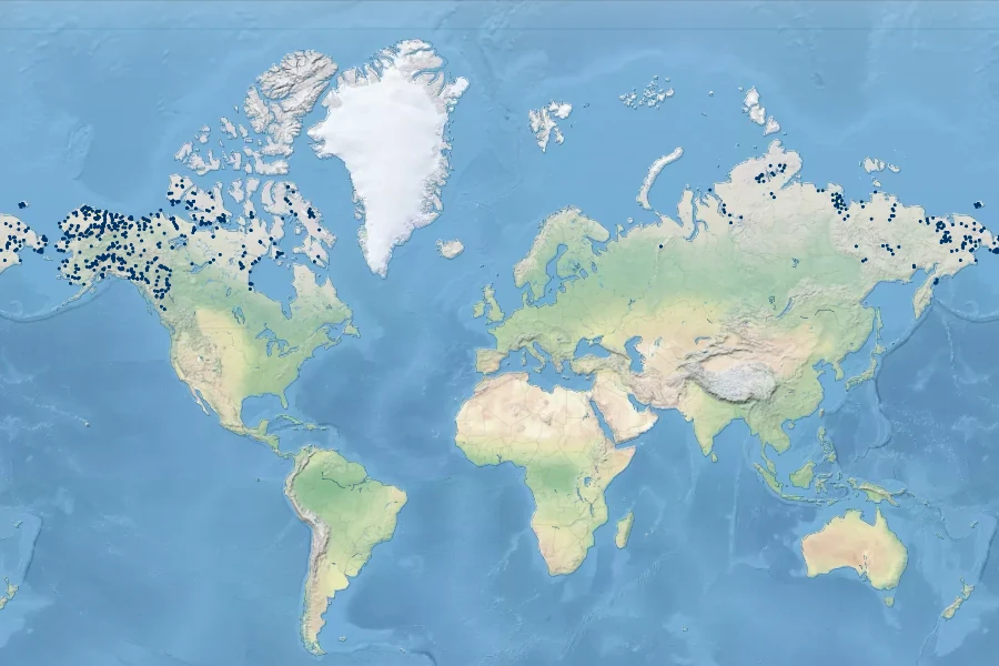 Salix richardsonii Native Range