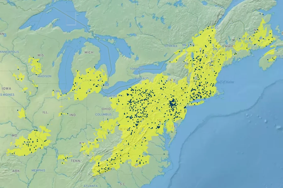 Salix sericea Native Range