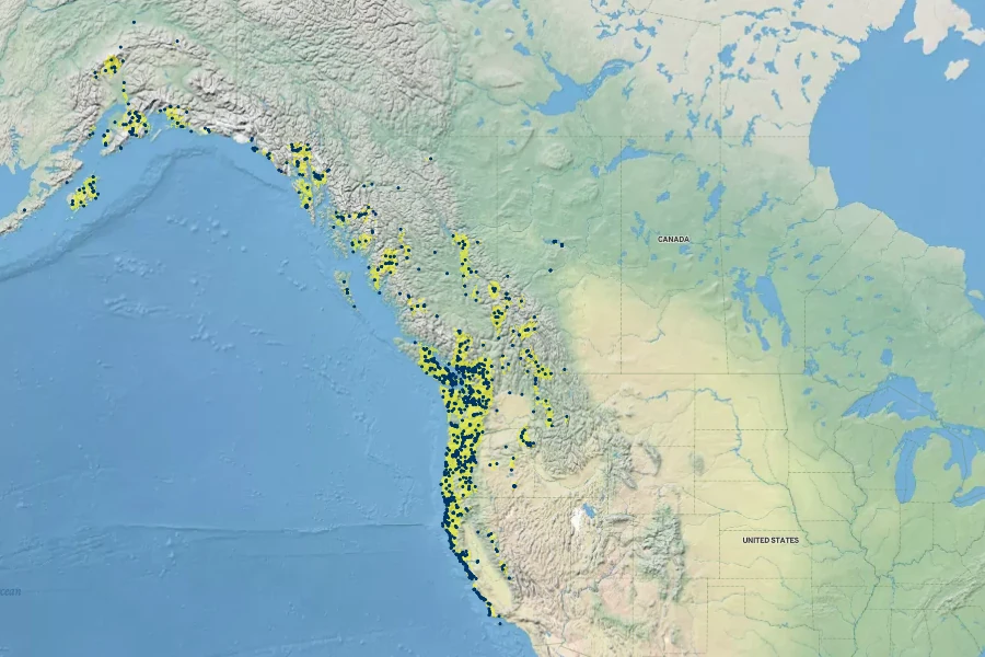 Salix sitchensis Native Range