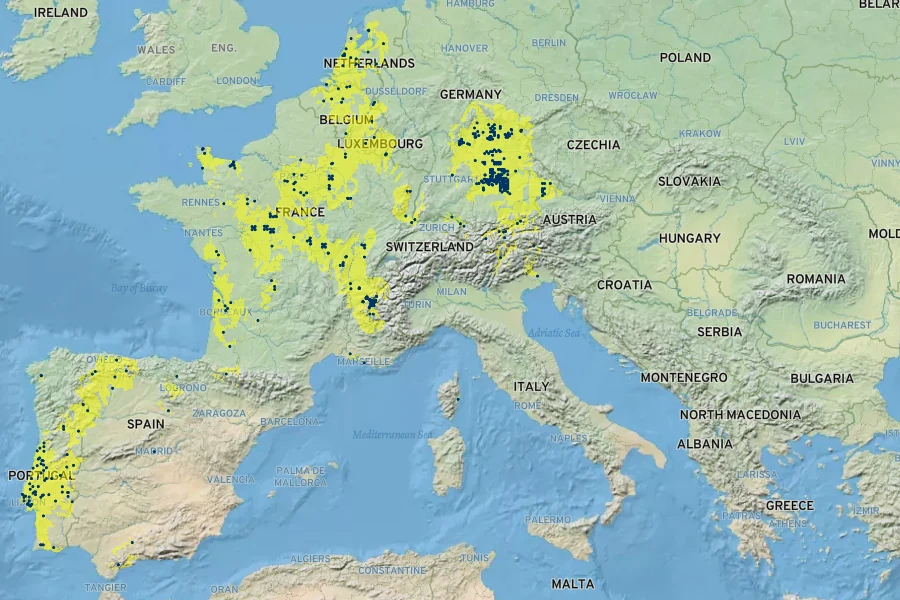 Salix vitellina Native Range