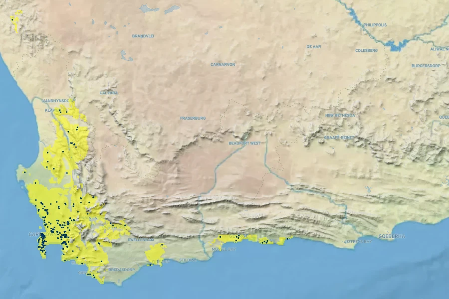 Salvia africana Native Range
