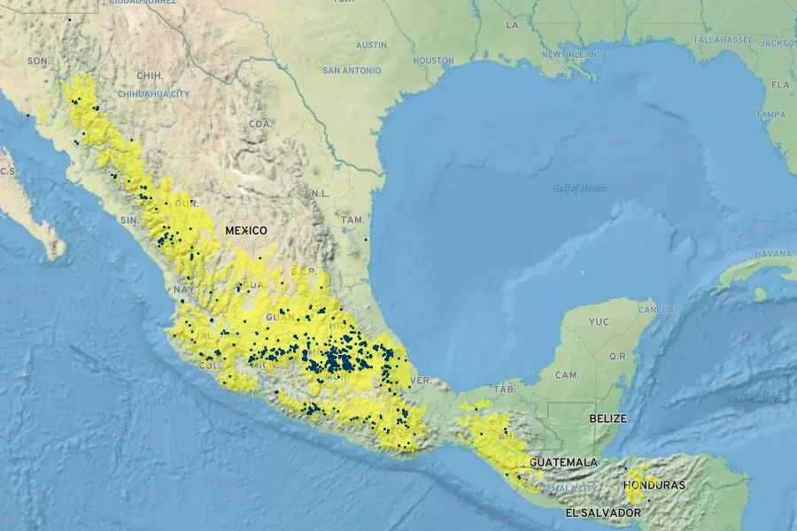 Salvia elegans Native Range