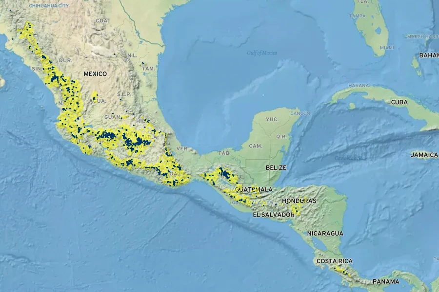 Salvia lavanduloides Native Range