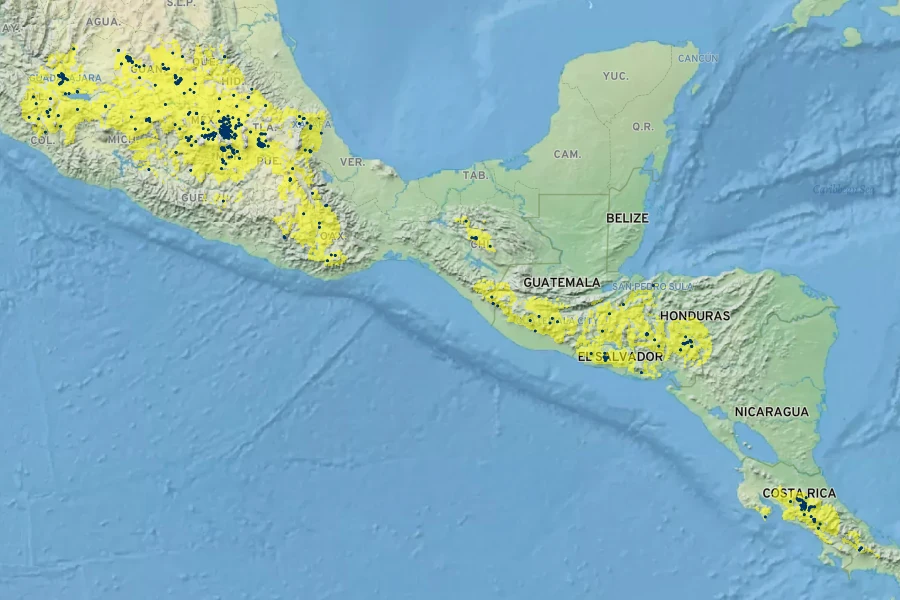Salvia leucantha Native Range