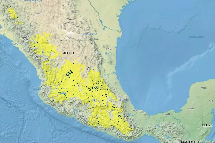 Salvia melissodora Native Range