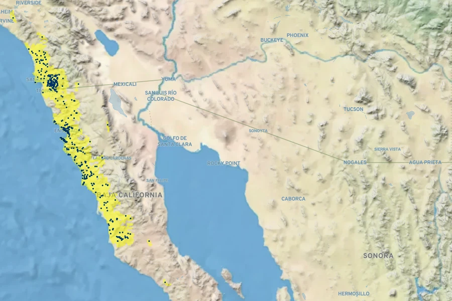 Salvia munzii Native Range