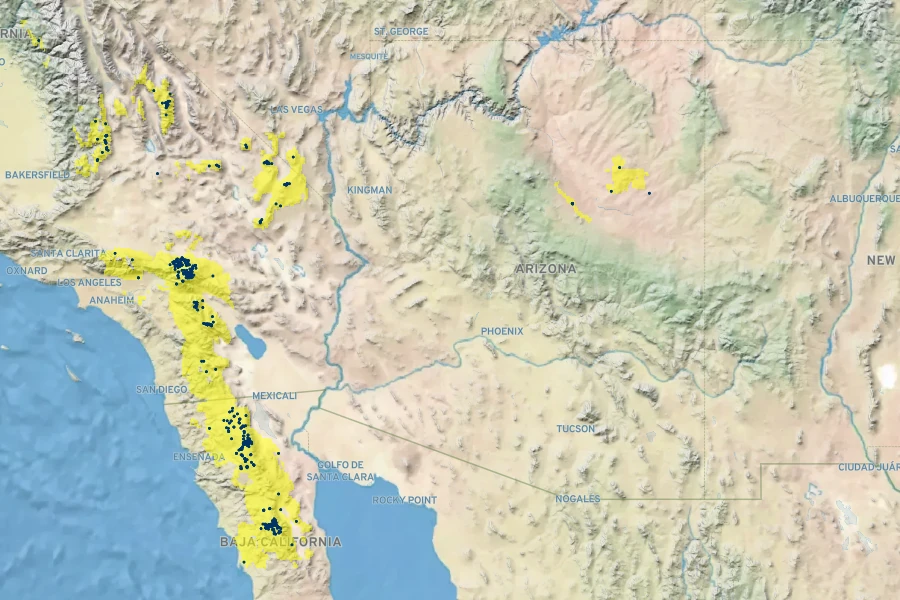 Salvia pachyphylla Native Range