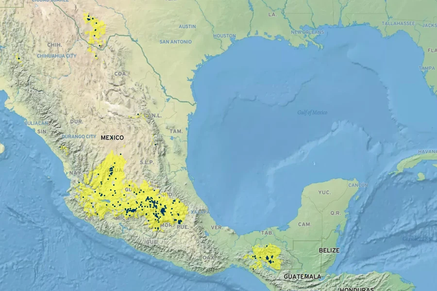 Salvia reptans Native Range