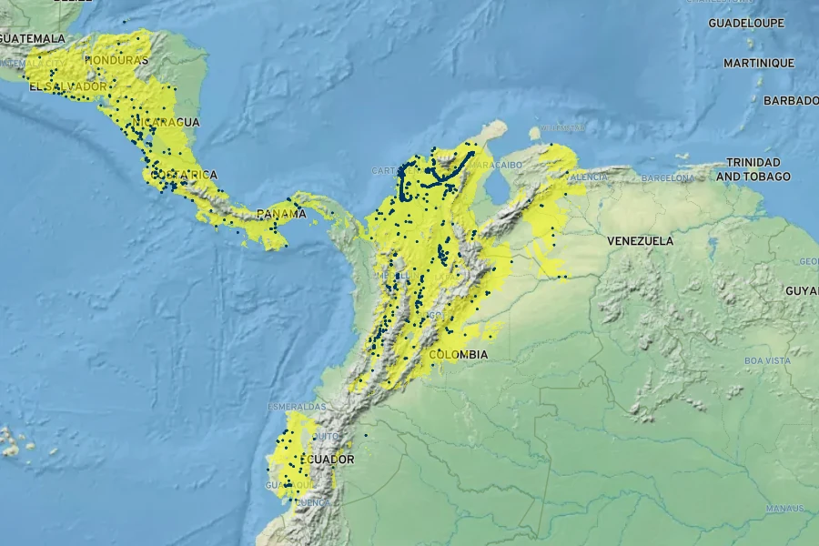 Samanea saman Native Range